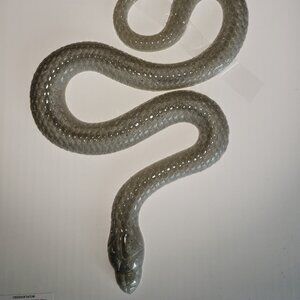 SNAKE winder WHITE Resin Animal Figurine Collectable Rodent Reptile HANDMADE NEW